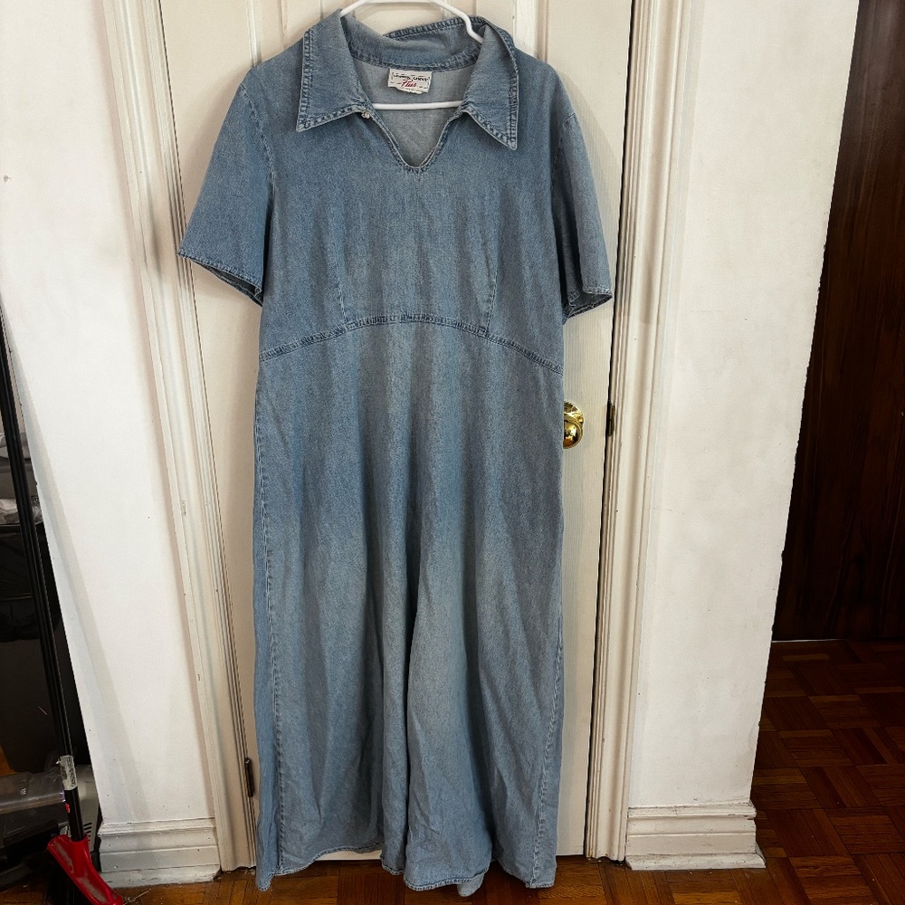 Light Wash Denim Maxi Dress with Collared V-Neck - Picture 2 of 7